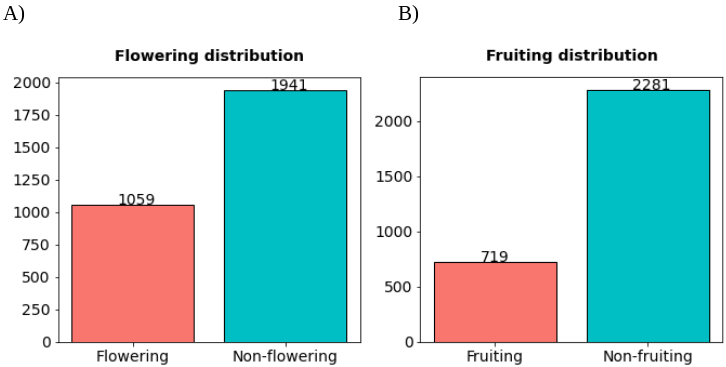 Proportions of flowering and fruiting labels of the validation dataset.